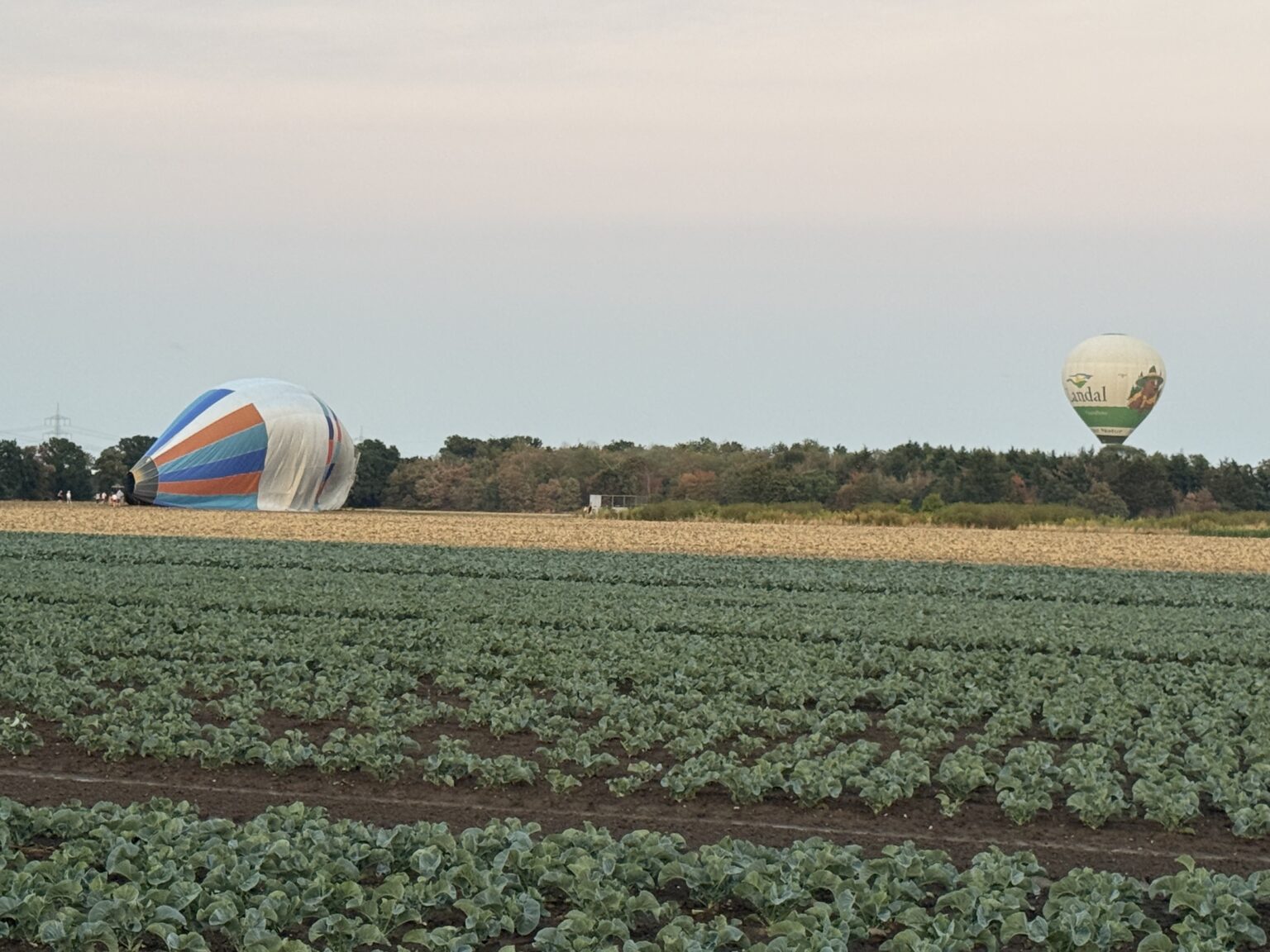 Heißluftballons über den Feldern zwischen Bornheim-Walberberg und Brühl