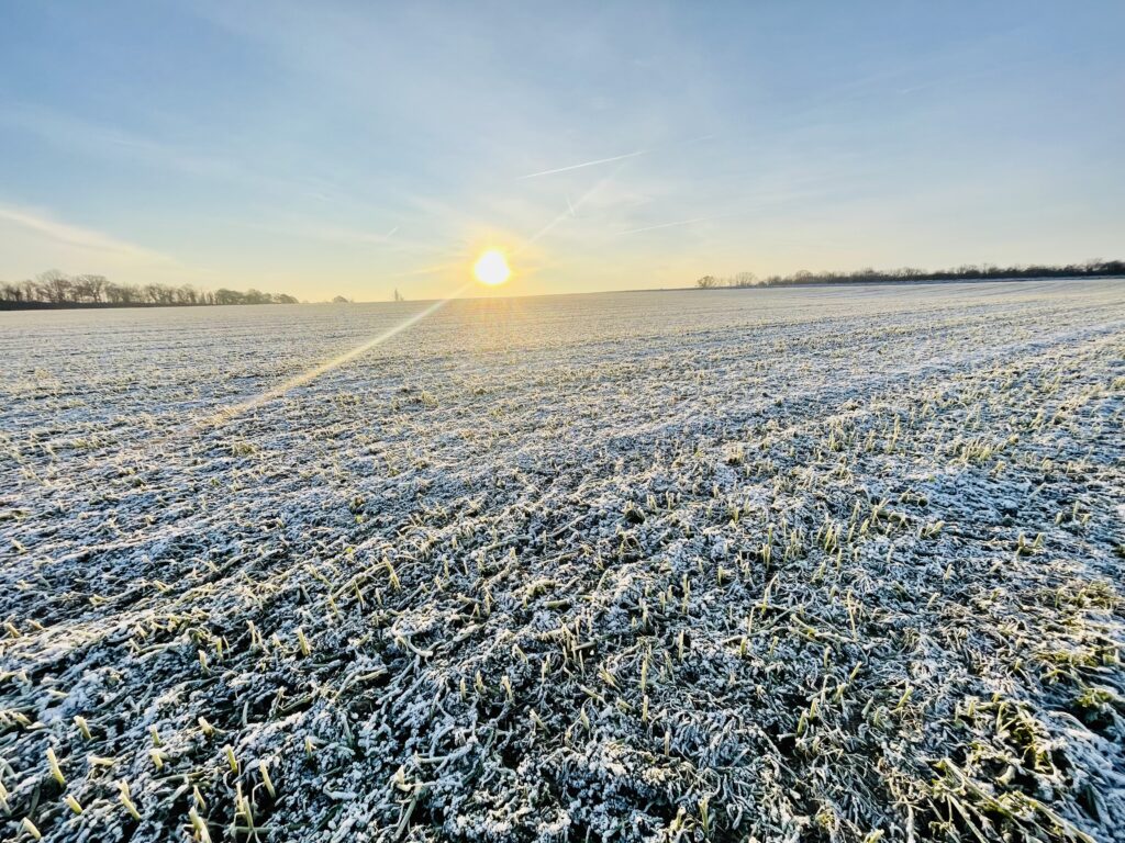 Verschneite Felder bei Sonnenaufgang